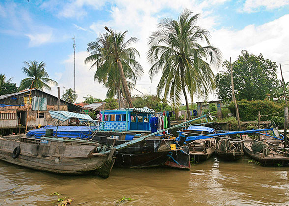 Local Fish Village