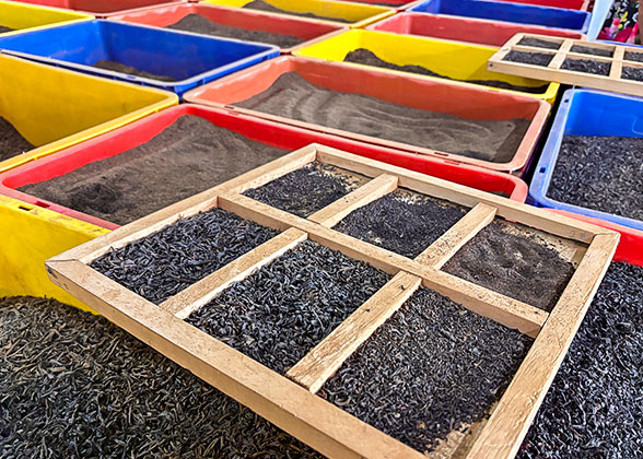 Different Types of Ceylon Tea