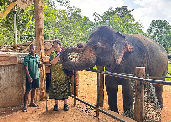 Pinnawala Elephant Orphanage