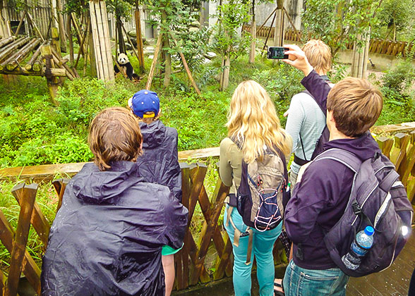 Chengdu Research Base of Giant Panda Breeding