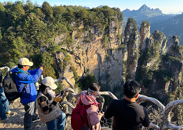 Flower Fairy Peak, Tianzi Mountain