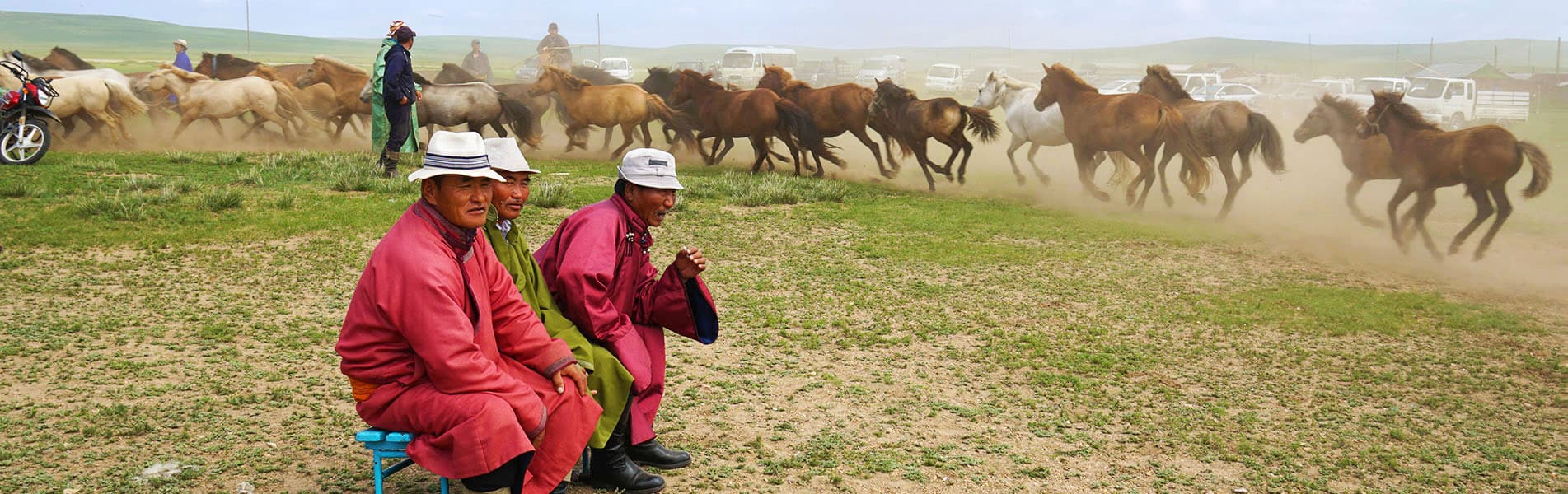 Mongolia grassland