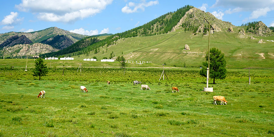 Terelj National Park, Ulaanbaatar