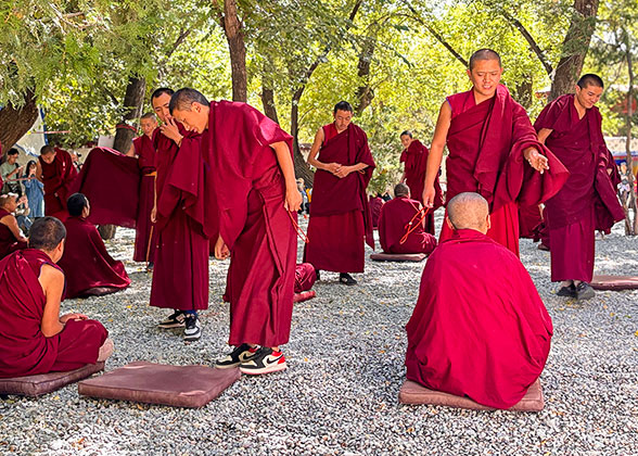 Monks Debating in the Sera Temple