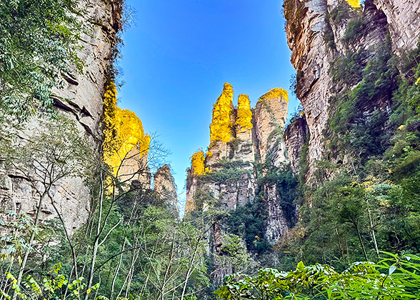Hiking along Golden Whip Stream