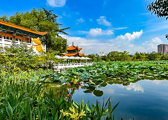 Local Park in Kunming