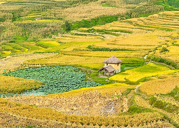 Duoyishu Terraces