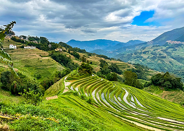 Stunning Rice Terraces in Yuanyang