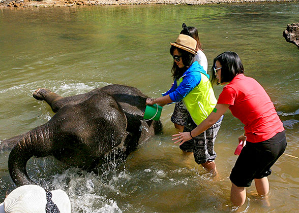 Elephant Nature Park