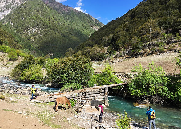 Hike through Niding Forest