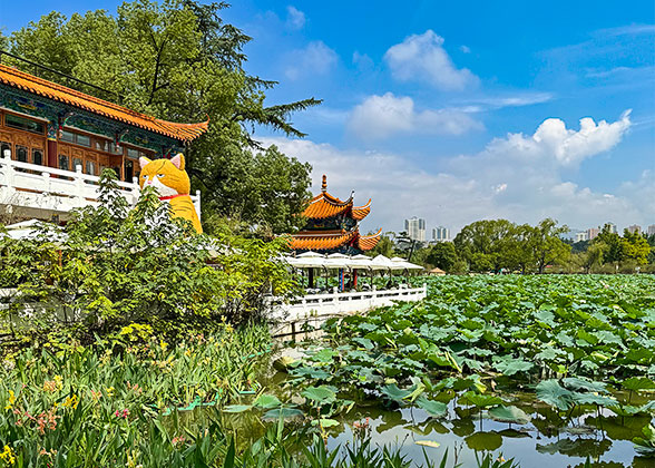 Green Lake Park, Kunming