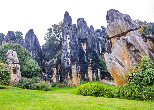 Stone Forest