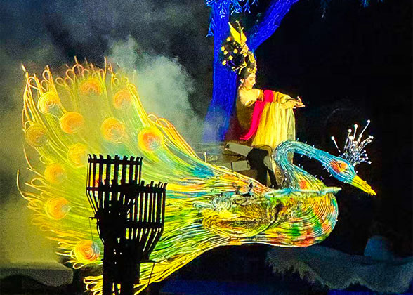 Xi'an Night Show