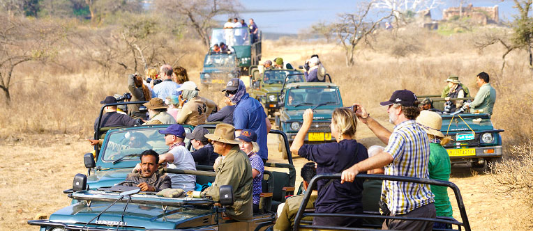 Ranthambore National Park