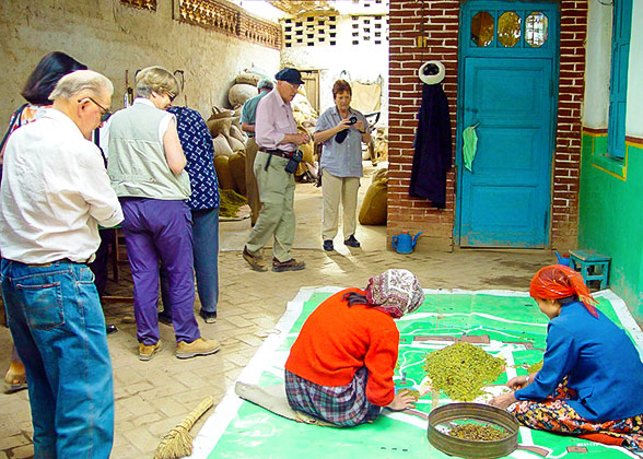 Local People Drying Grapes in Mazha Village