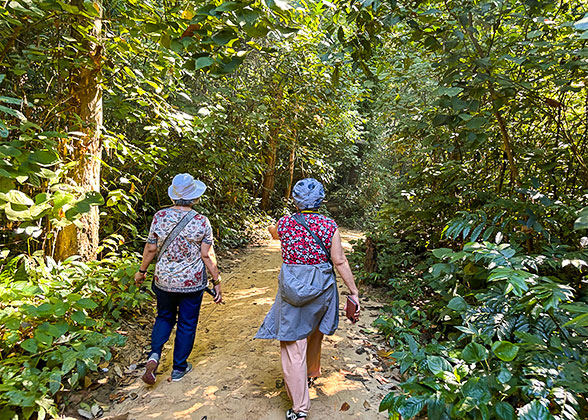 Horton Plains National Park