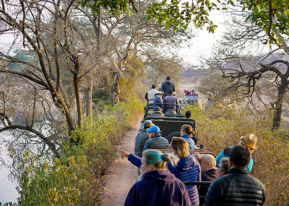 Jeep Safari in Sri Lanka