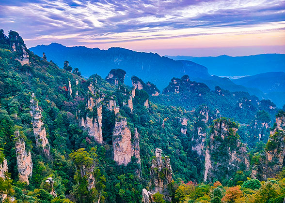 2 Days to Zhangjiajie Forest Park, Bailong Elevator, Avatar Mountain, Tianzi Mountain, Glass Bridge, and Tianmen Mountain