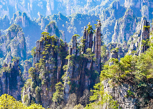 2 Days to Zhangjiajie Forest Park, Bailong Elevator, Avatar Mountain, Tianzi Mountain, Glass Bridge, and Tianmen Mountain