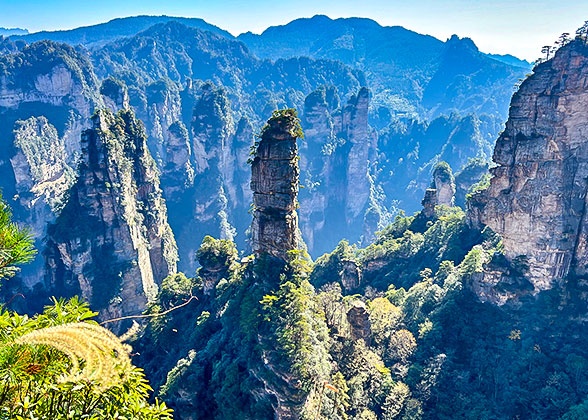 2 Days to Zhangjiajie Forest Park, Bailong Elevator, Avatar Mountain, Tianzi Mountain, Glass Bridge, and Tianmen Mountain