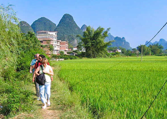 Rural Scenery in Yangshuo