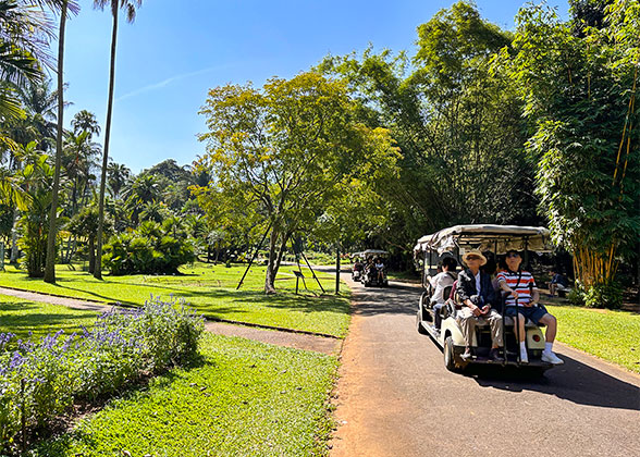 Royal Botanic Gardens, Kandy