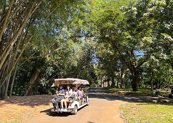 Royal Botanic Gardens, Kandy