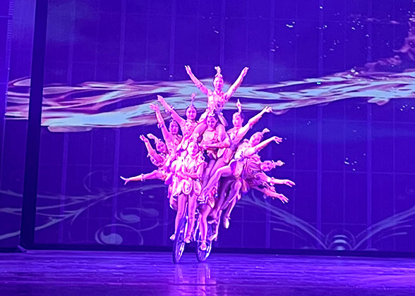 Thrilling Acrobatic Show in Red Theater
