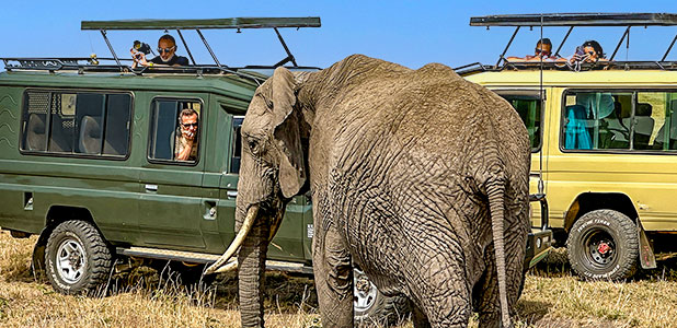 Kenya Tours: Private Safari Packages to See Wildlife in Africa