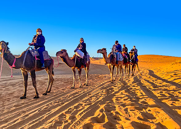 Our Guests in Sahara Desert