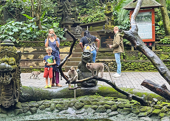 Sacred Monkey Sanctuary