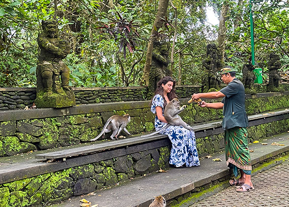 Sacred Monkey Sanctuary