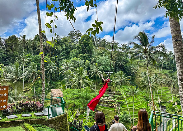 Tegalalang Rice Terraces