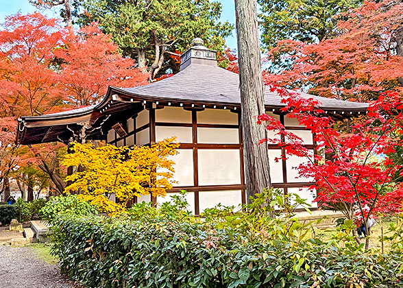Scenery of Arashiyama
