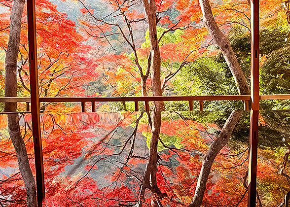 Autumn of Arashiyama