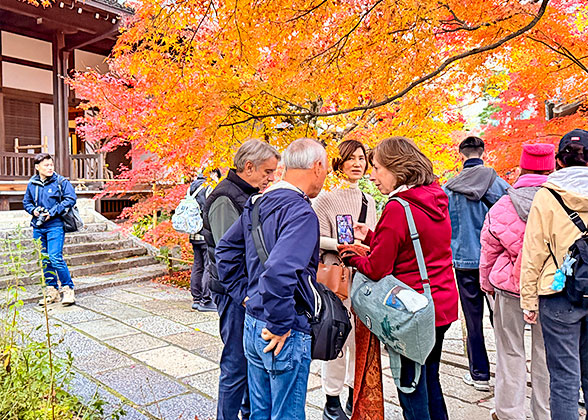 Visit the Arashiyama