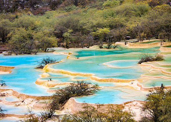 Five-Color Pond