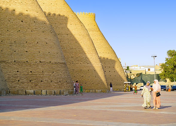 Ark Fortress