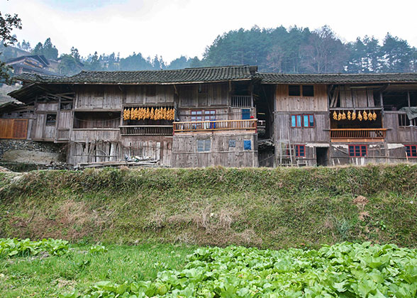 Typical Stilt Houses of Zhuang People, Longsheng Typical Stilt Houses of Zhuang People, Longsheng