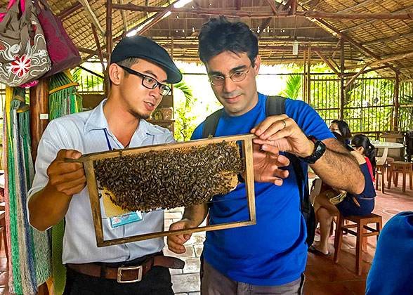 Visit Bee Farm