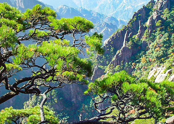 Mountain Huangshan