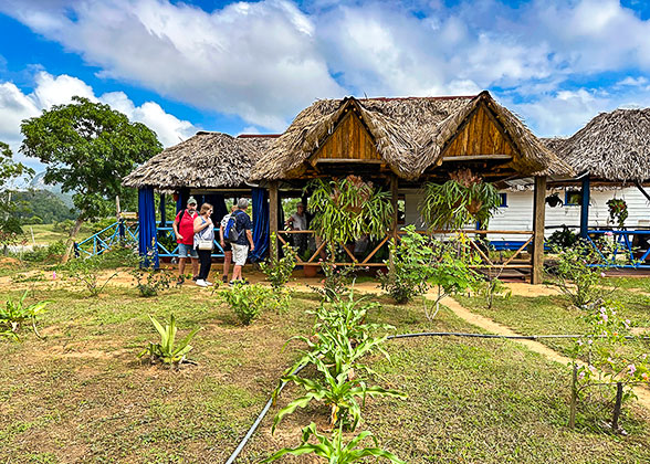 A Visit to the Cigar Farm, Vinales Valley