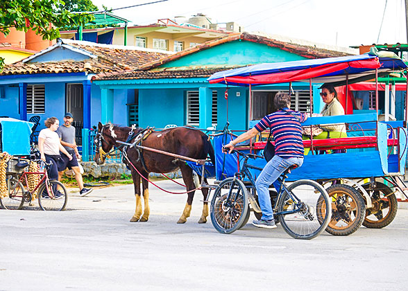 The Horse Carriage Taxi, Vinales