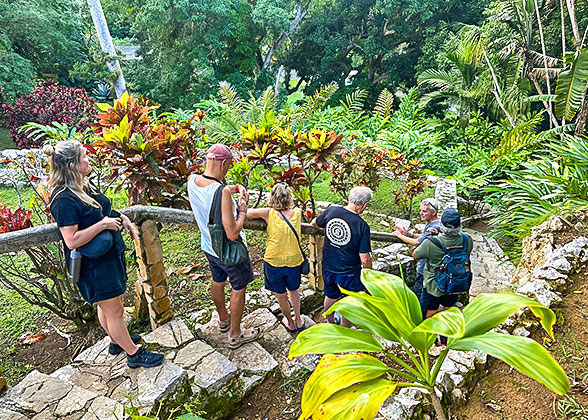 Soroa Orchid Botanical Garden