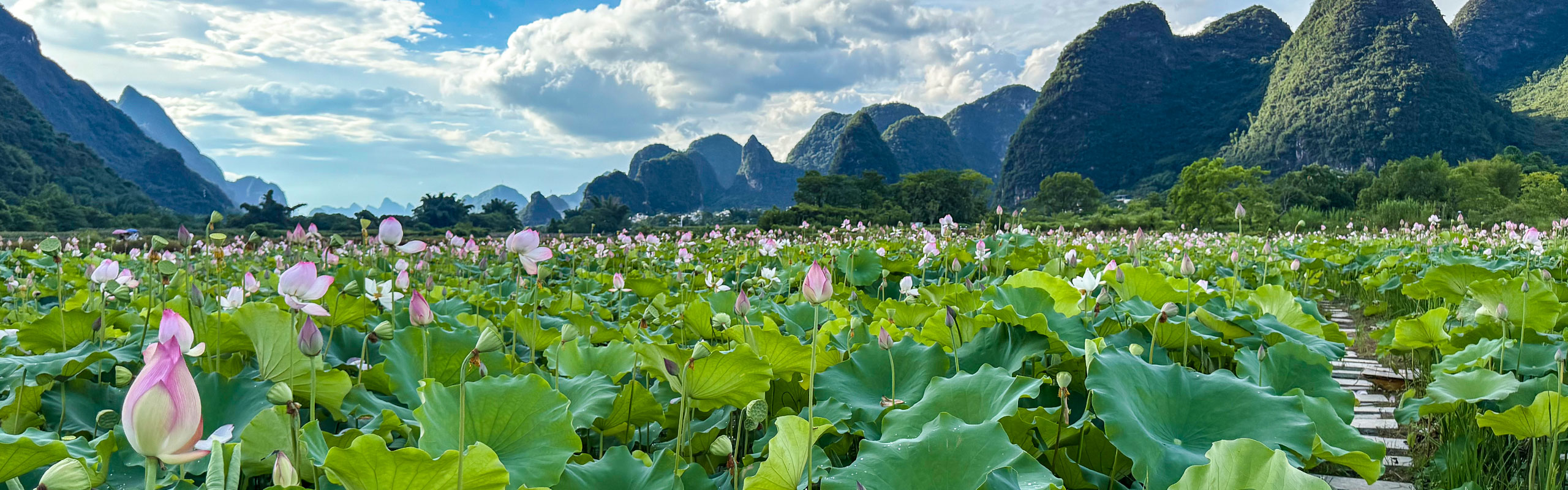Yangshuo Rural Scenery