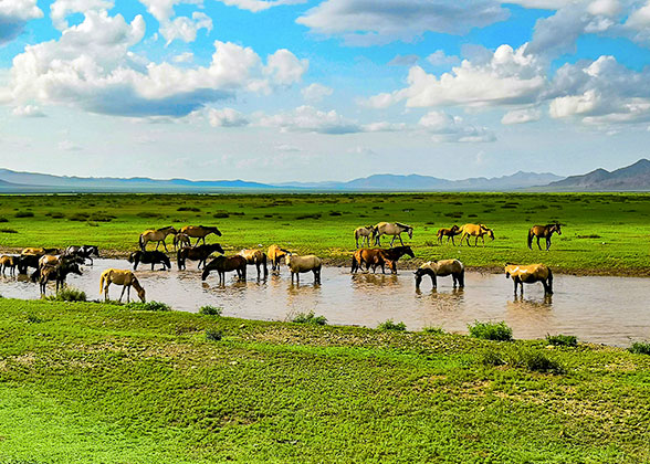 Hustai National Park Hustai National Park