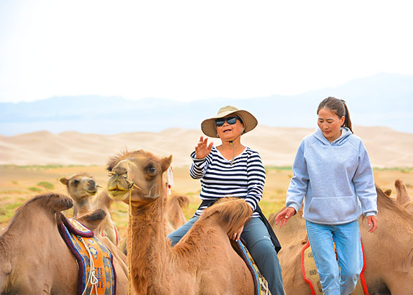 Ride a Camel Ride a Camel