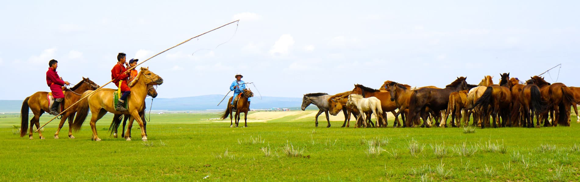 8-Day Mongolia Private Tour: Khongor Sand Dunes, Yolyn Am…