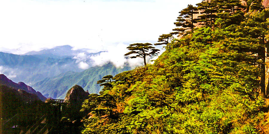 Huangshan Mountain in Autumn