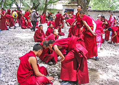Tibetan lamas